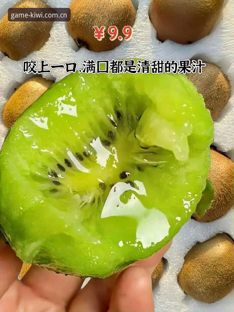 奇异果体育官网新版界面深度分析：CN奇异果体育登录体验全面解析